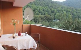 Dilijan Nice View